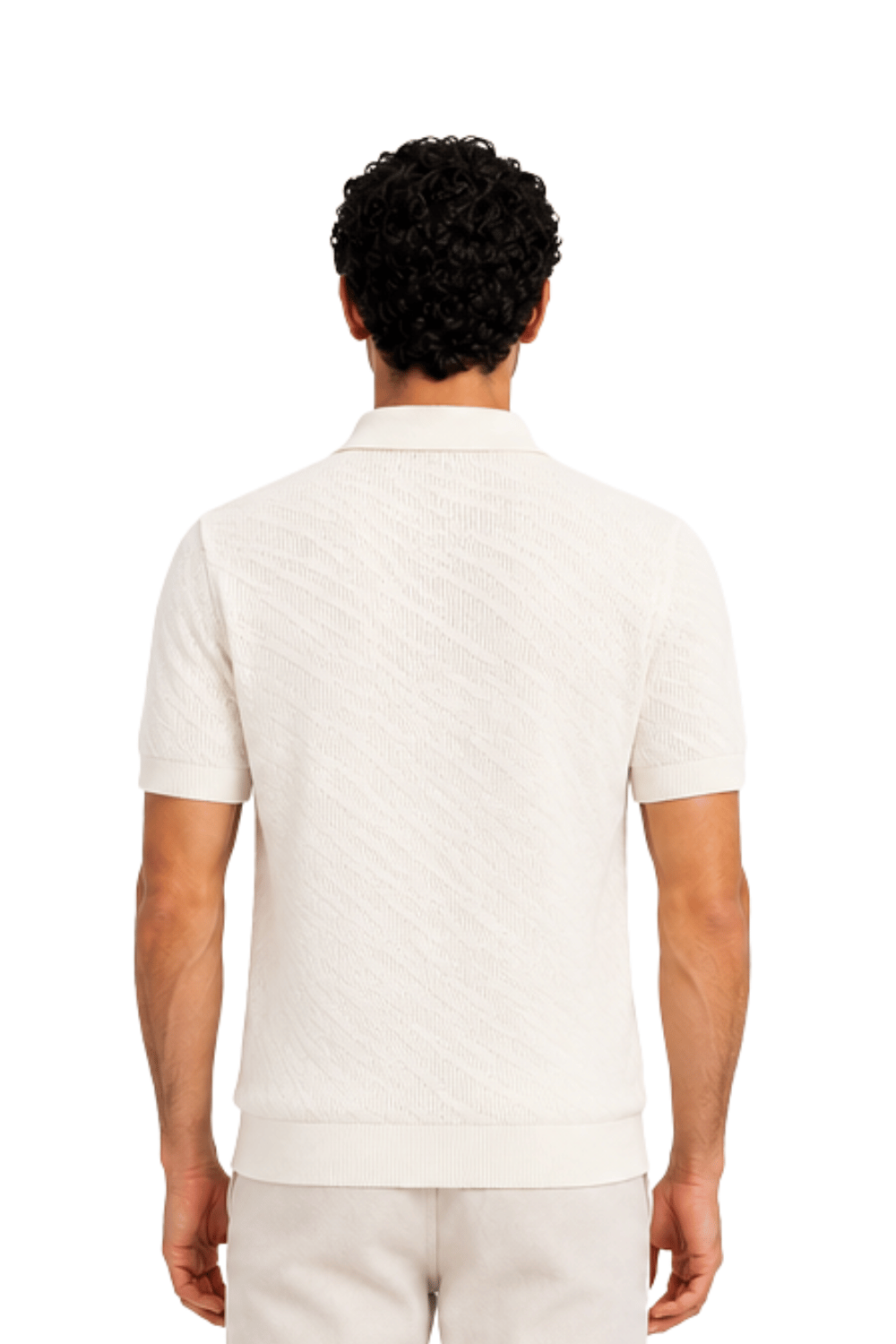 [39785-40-108] DT BUTTON POLO