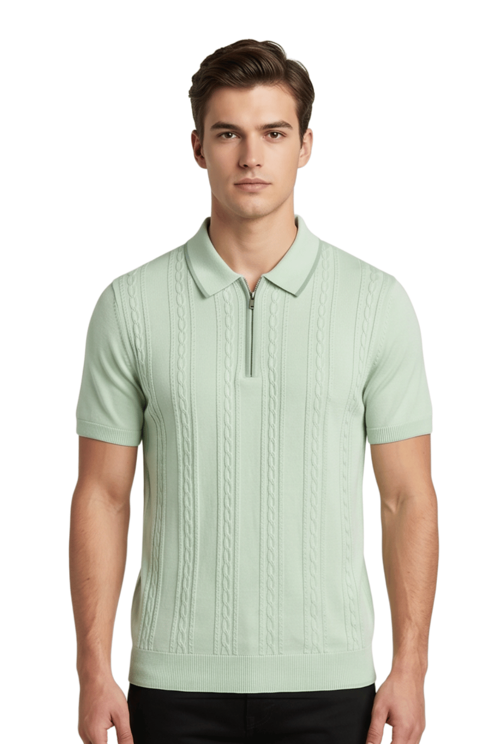 [39803-40-949] DT ZIP POLO