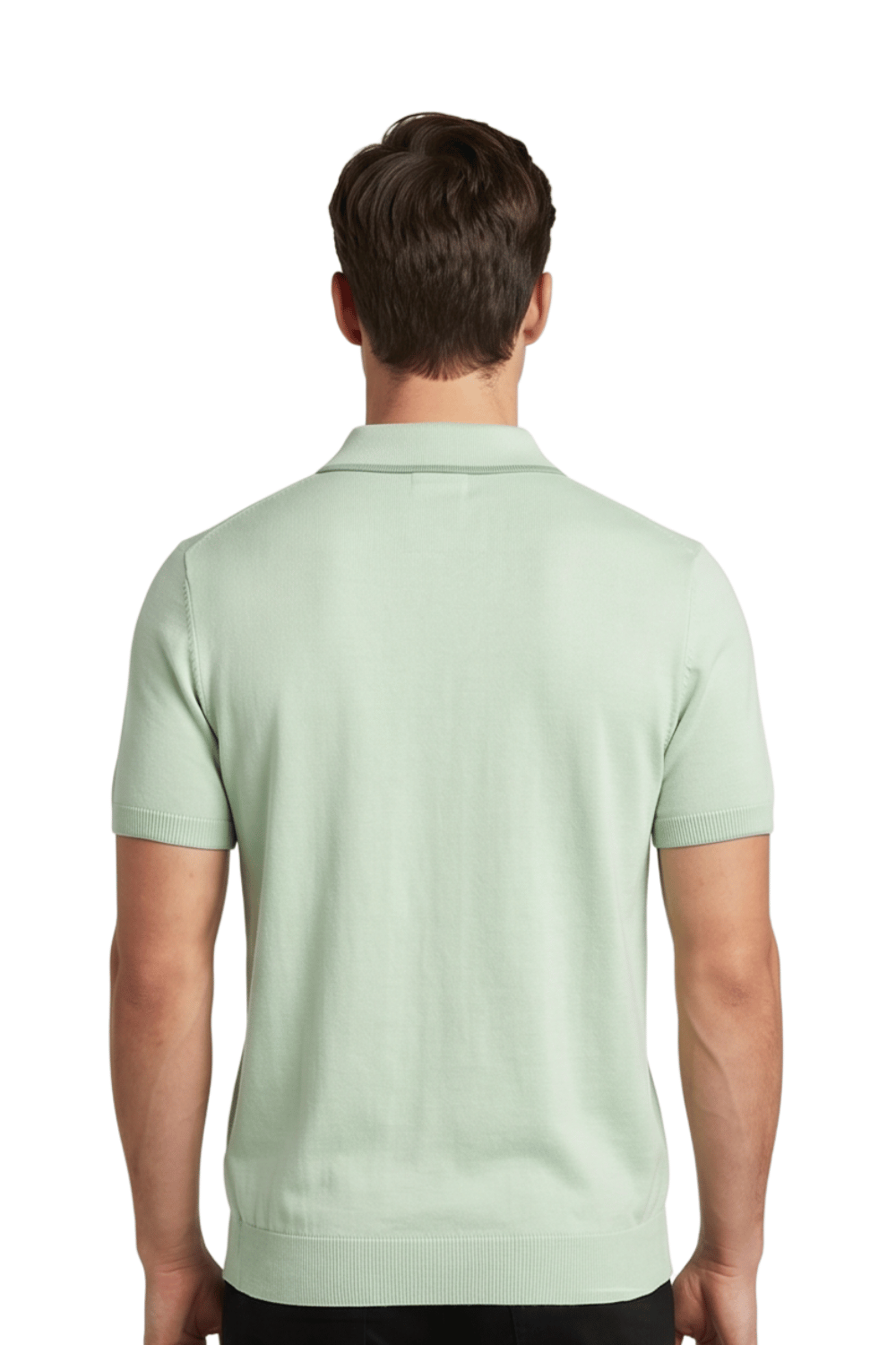 [39803-40-949] DT ZIP POLO