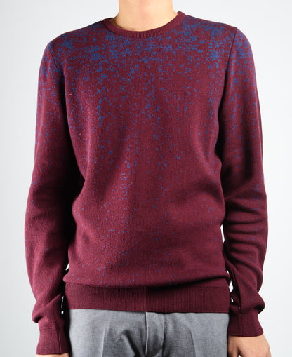 DT Space Crewneck Ls