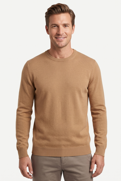 [1860-30-583] DT CREWNECK LS