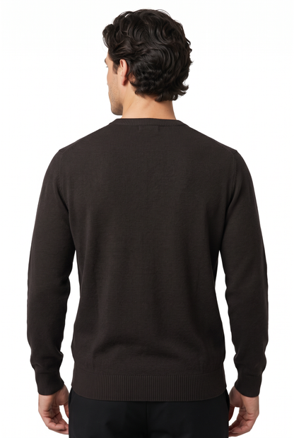 [1860-30-109] DT CREWNECK LS