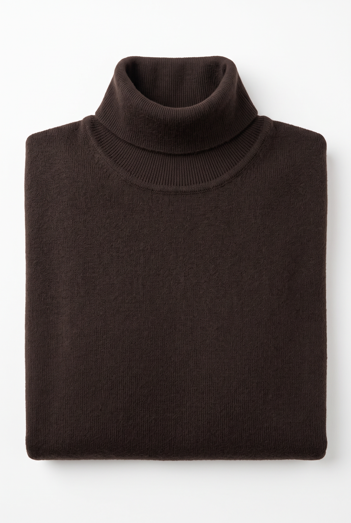 [1860-80-109] DT LS TURTLENECK
