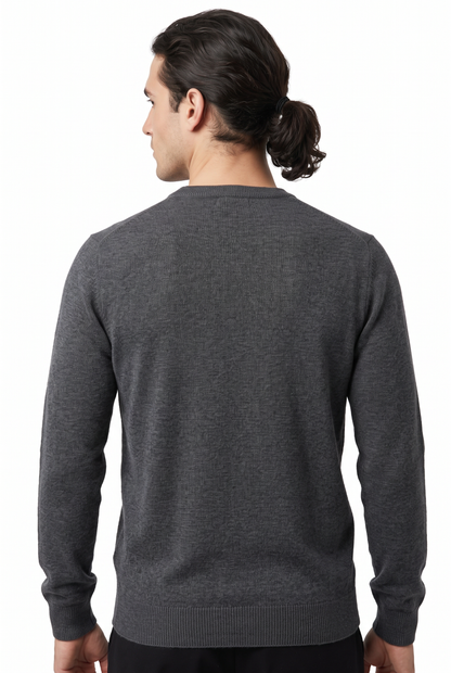 [1860-30-843] DT CREWNECK LS