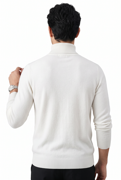 [1860-80-844] DT LS TURTLENECK
