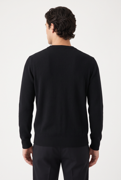 [1860-30-101] DT CREWNECK LS