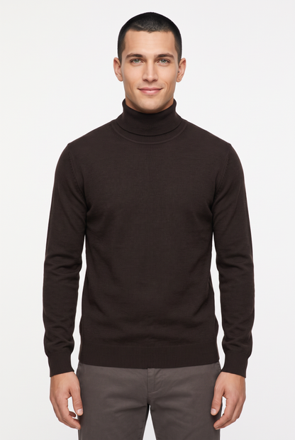 [1860-80-109] DT LS TURTLENECK