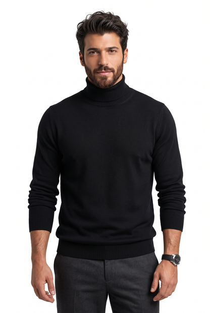 [1860-80-101] DT LS TURTLENECK